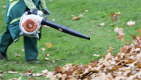 Screenshot 2025-09-23 143832.png