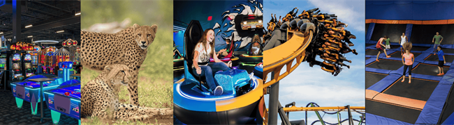 Teen Trip Photos.png