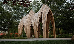 ridge-by-foon-sham-photo-elman-studio-3_250x150.jpg