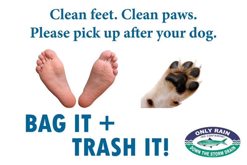 Clean feet, clean paws, please pick up after your dog