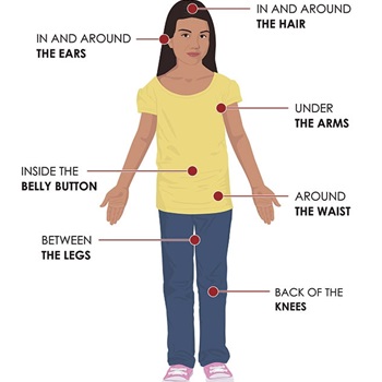 Image showing where to check for ticks