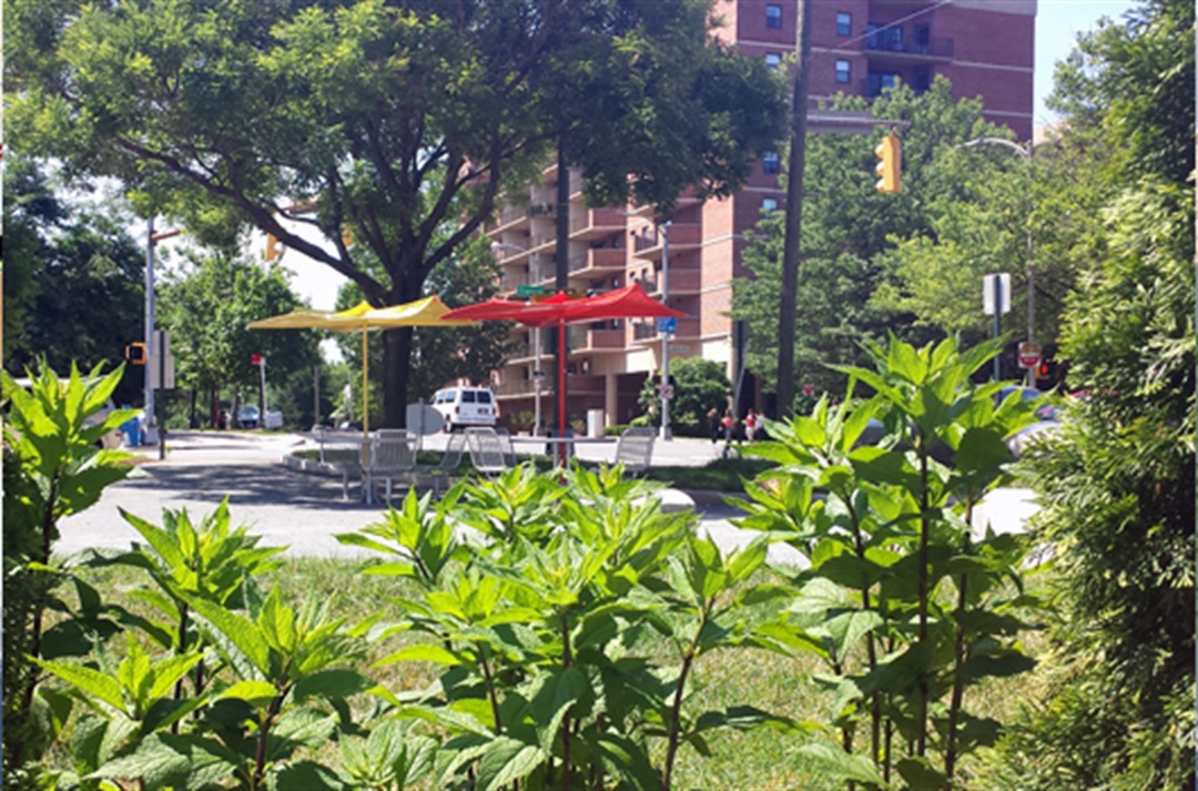 ClarendonBarton Interim Open Space Official site of Arlington