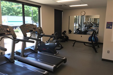 Fitness Equipment