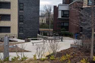 Three Oaks Urban Garden