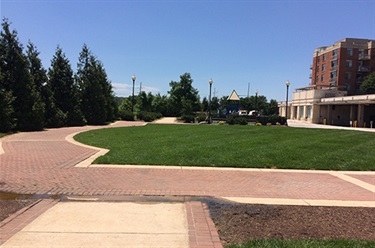 Path bordering grassed area