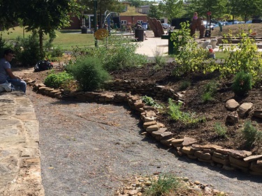 Walter Reed Garden