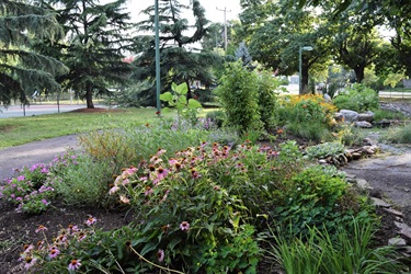 Walter Reed Garden