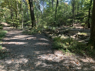 Lubber Run Bridge 2