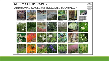 Nelly Custis Park Presentation Slide