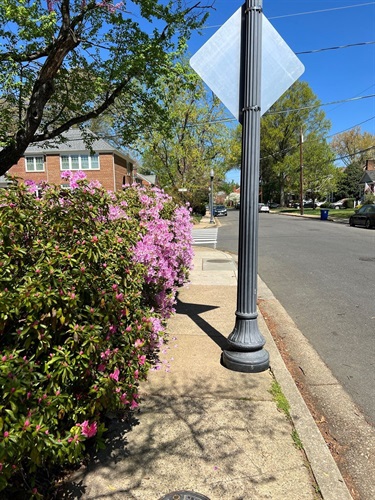 Existing conditions on S. Irving Street