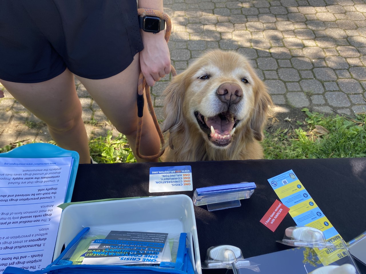 Dog at AARI Tabling Event 
