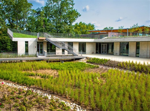 biophilic-web-page-phtotos-2-05.jpg
