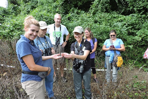 The Arlington BioBlitz herpetology team with a Northern Ring-necked Snake.