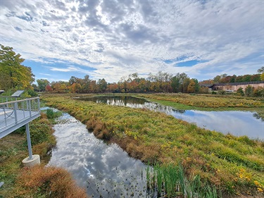 Ballston Wetland October 2023