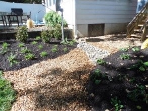 Another perspective of the conservation landscaping area