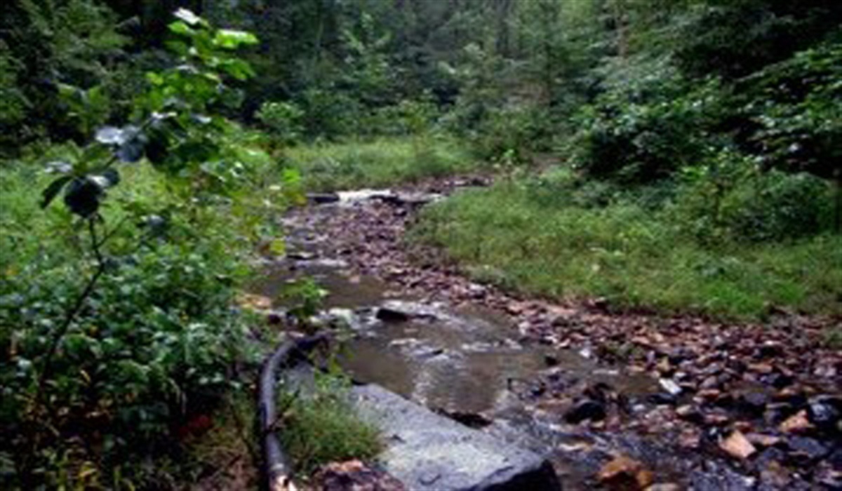 Donaldson Run Official site of Arlington County Virginia Government