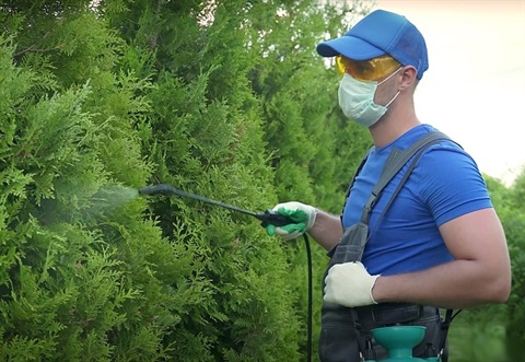 man spraying replellents on bushes.jpg