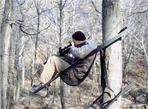 man in tree sharp shooting