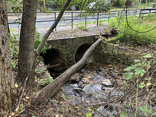 Undersized and poor condition Military Road culvert 