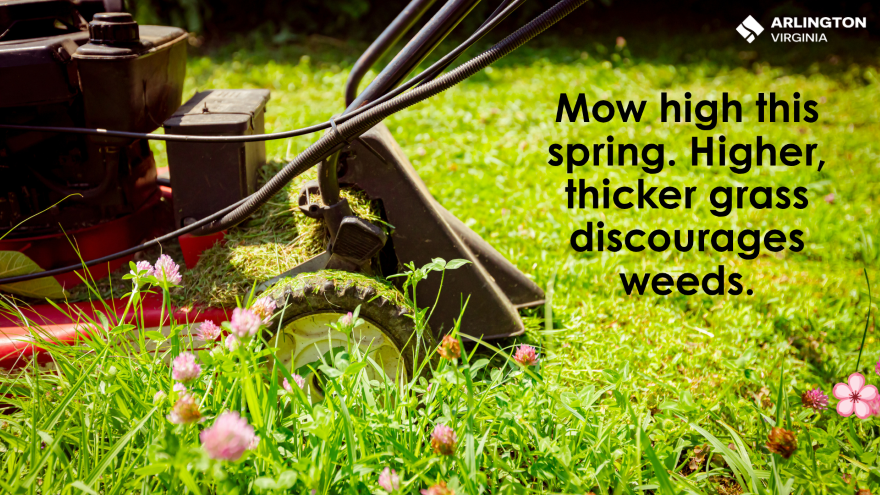 Mow Grass High