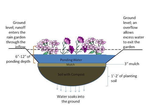 Rain-Garden-Cross-Section.jpeg