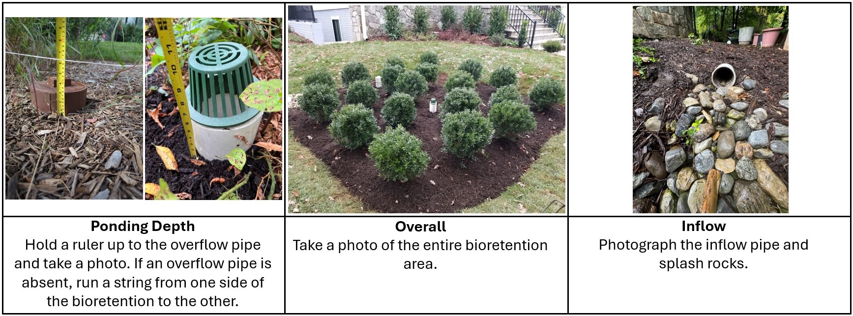 Bioretention-Inspection-Photos.jpg