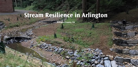 Stream Resilience.JPG