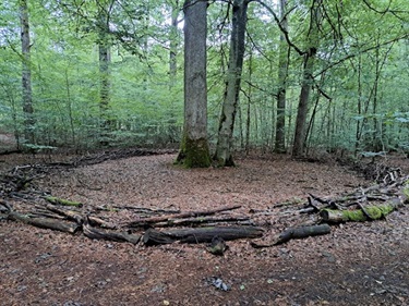 Reuse of wood and snag