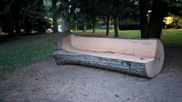Image: Dan Trubman