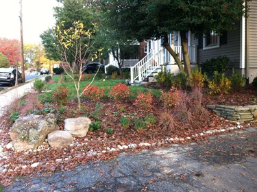files/afab13f0-42b6-4fe3-be4f-81ab8cddab26/Cons-landscape-2-after.jpg