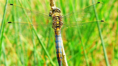 krzysztof-niewolny-765363-unsplash-e1534969306604.jpg