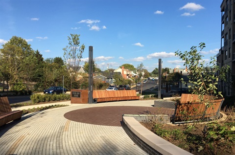 Selina Gray Square