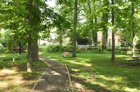 Winding path through lawn and trees