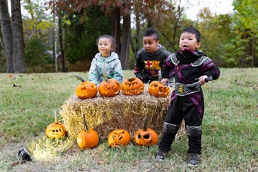Pumpkin Walk