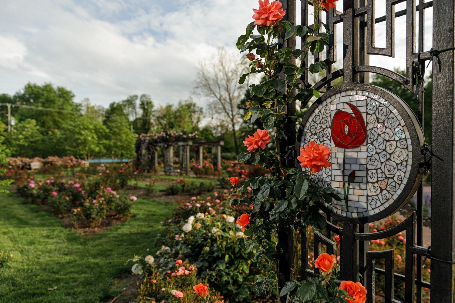 Bon Air Rose Garden Mosaics by Judy Stone