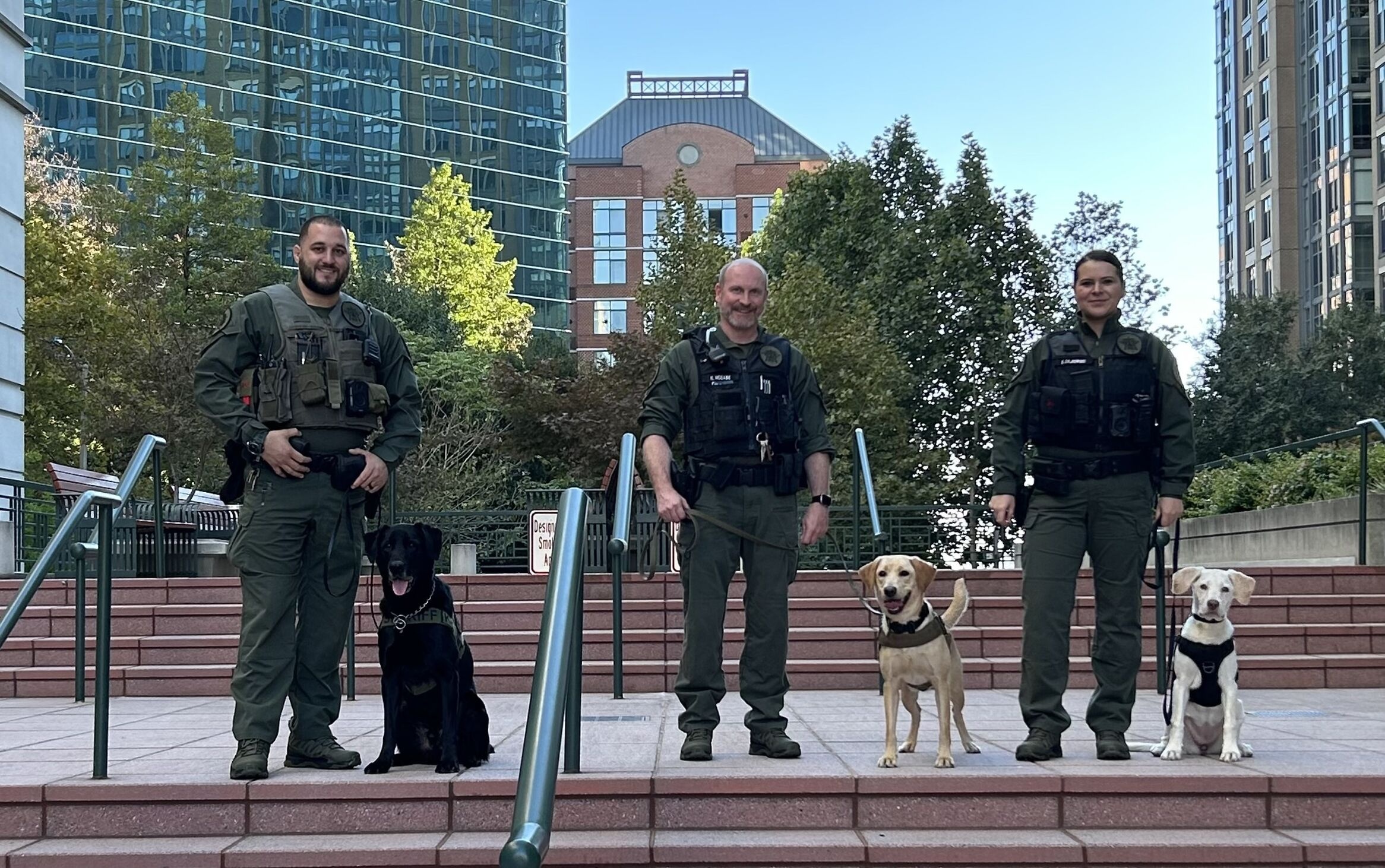 K9 and Crew