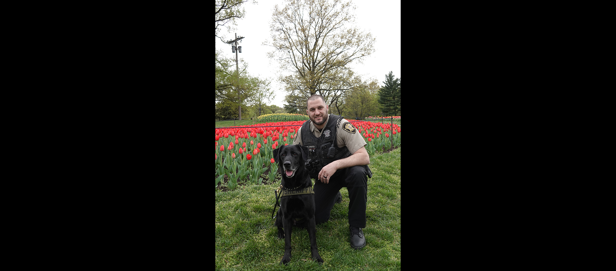 K9 Logan Photo
