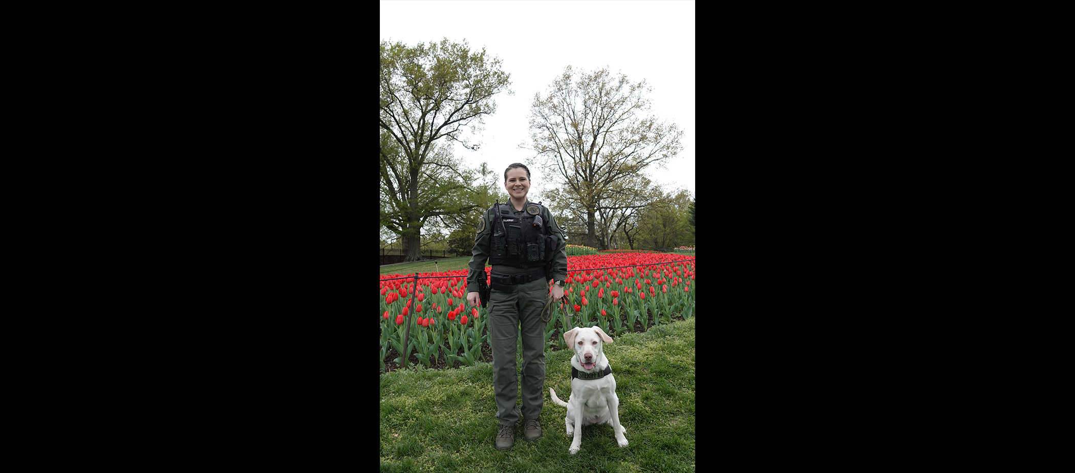 K9Photo2