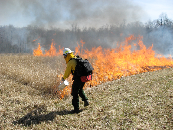Man carrying out backburning