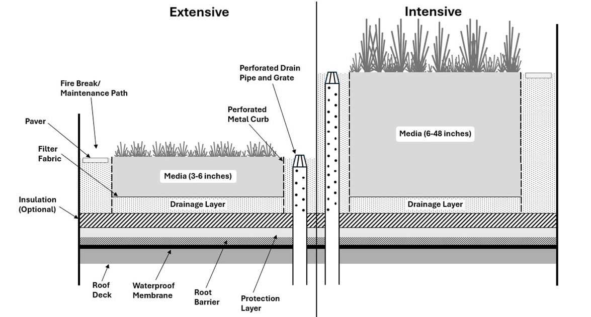 Detail-Vegetated-Roof.jpg